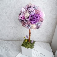 不凋繡球花球樹盆花【迷濛紫漾】開幕禮/新居/名片座/客製化