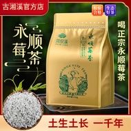 ชาผลเบอร์รี่ Yongshun ผลิตในเซียงโดยคน Tujia มีลักษณะเป็นหน่ออ่อนของชาผมมังกรป่าจากแอ่งแม่น้ำฤดูใบไม