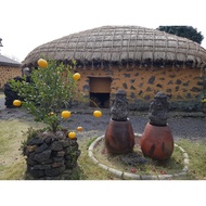 Jeju Jar Ripening  Omija Tea  / korea tea  omija/halal