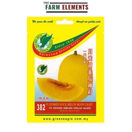 GE 382 F1 Hybrid Rock Melon Moon Light Seed/ F1 Hibrid Melon Bulan Madu Benih(8 seeds)