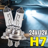 H7 Car Headlight Bulbs | 24V 100W 12V 55W Super Bright Car Lights, High Penetration 3200K Light for 