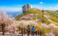 Busan: Ice Valley Cable Car & UNESCO Nature Discovery Tour
