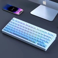 แสงโปร่งใสหมาป่าแมงมุม PBT Keycaps 136-Key ชุดด้านข้างแกะสลักส่วนบุคคล Keycaps สําหรับหมาป่าแมงมุม F