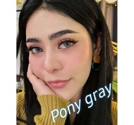 คอนแทคเลนส์ รุ่น Pony สีเทา/ตาล gray/brown  มีค่าสายตา (0.00)