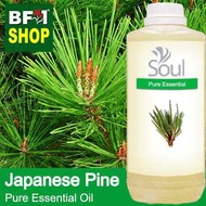 Pure Essential Oil (EO) - Pine - Japanese Pine Essential Oil - 1L