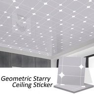 10/50 Pcs 0.5mm Thick Self-Adhesive Ceiling Tiles, Gray Star Tile Stickers, Geometric Pattern (Recta