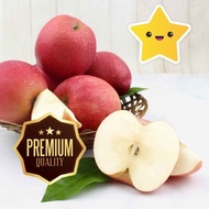 LOLA Buah Segar Apel Fuji Fresh Apple 1 kg KUALITAS 1