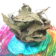 【LIMITED-RARE】Wild Authentic Mexican Salvia.D Dried Leaves Incense ( The Exclusive Divinorum Series 