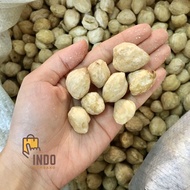 Round Candlenut 1kg / Whole Candlenut 1 kg / Whole Round Candlenut 1 kilogram