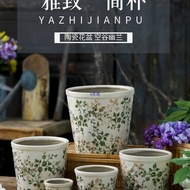 Fresh Retro Nordic Simple Hydroponic Utensils Creative Pastoral Orchid Green Dill Green Plant Succul