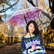 雙龍花漾自動透明傘櫻花傘 防風直傘雨傘(薰衣紫)