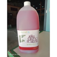 Oil Stain Remover Green Mind D2 3.8 Liters Special Formula Used To Remove Stains Vegetable Grease An