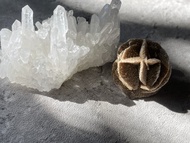 【摩洛哥沙漠玫瑰石。大辦玫瑰吊墜】單品保證、每個僅一件、礦物