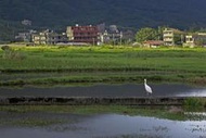 金山白鶴寫真 12x18吋相紙輸出(布面、光面任選) 五種顏色相框(紅、藍、胡、綠、重咖)