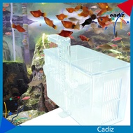 CAD* Fish Tank Breeding Box Transparent Large Space Two Layers Pollution-free Thick Protect Baby Fish 2 Compartments Suction Type Fish Tank Breeding Box Aquarium Supplies