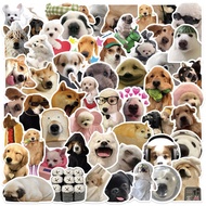 Fast Delivery (326) 50 Pieces Of Funny Dog Stickers