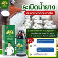 Dose โดส ฮอร์โมนพืช อาหารเสริมพืช เร่งผลผลิต เร่งต้น เร่งดอก เร่งนํ้ายาง เร่งโต โตไว ใบเขียว เพิ่มผล