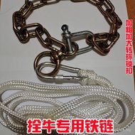 Chain Beef Other Whole Set Chain Beef Beef Chain Tie Bold Galvanized Iron Neck Iron Tie Fat Beef Cha