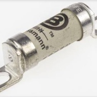 Special 80Fe Fuse Bussmann 80A