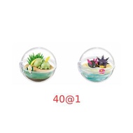 Rement pokemon 寵物小精靈 精靈寶可夢 Terrarium Happy days 溶食獸/拳海參 40@1