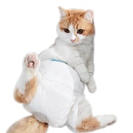 Pampers kucing kecil pampers S monkey popok monyet kecil anjing perekat