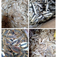 Promo - Ikan Asin Gabus / Rebon / Sepat / Bulu Ayam / Dendeng / Japuh