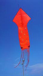 【風箏小舖】大 魷魚 風箏-玻璃纖維骨架，尼龍布，台灣製造工廠直營 章魚 風箏 墨魚 