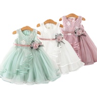 Baby Girls Dress Casual Costume Kids Dresses For Girls Flower Baby Dress Girl Party Little Princess 