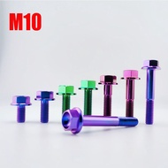 6AL/4V(TC4)Titanium Alloy Bolt M10 X10 - 70mm Hex Head Flange M10 pitch1.25 Screw