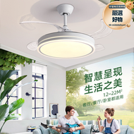 波西米亞隱形風扇燈2024新款吊扇燈吸頂家用客廳餐廳臥室電扇吊燈