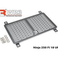 Original WR3 New Ninja 250 Fi 2018 Radiator Cover