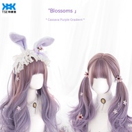 Tóc giả màu tím TSE cho nữ có Tóc Xoăn Dài Lolita lưới màu đỏ tự nhiên chuyển sắc tím lo tóc giả cô