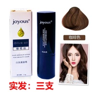 Joyous ดินสอสีผมแบบใช้แล้วทิ้ง 3 แท่ง ปกปิดสีขาวธรรมชาติ ไม่มีสารต้านตัว ดินสอสีผมสีดำจากต้นไม้