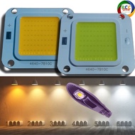 MATA 30W 900mA COB LED - 30 Watt LED Spotlight