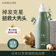 HY/🅰AndwarmJapanese Imported Shampoo Hair Growth Hair Removal Anti-Hair Loss Oil Control Fluffy Shampoo Ginger Shampoo P