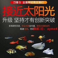 快速出貨吉印刀鋒觀賞魚專用全光譜LED照明增艷發色防水潛水燈吉印魚缸燈