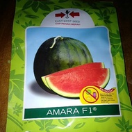 Benih semangka amara