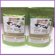 ✒ ▤ ❏ MAXFLO GUPPY FISHFOOD PROBIOTICS WITH DEWORMER