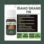 Young Living Idaho Grand Fir Singles Essential Oil 5ml Pure Eo Aromatherapy Campuran Minyak Pati 精油