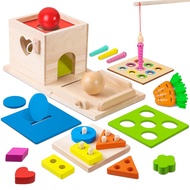 6-in-1 Wooden Play Kit Montessori Toy, Object Permanence Box, Coin Box, Carrot Harvest, Catch Worm, 