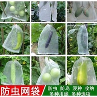 Fruit Vegetable Net Bag Jaring Pokok Nylon Net For Pest Control Garden Plant Mesh Anti Insect Fly Bird