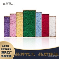 Eternal Flower Reindeer Moss Landscape Block Moss Hotel Decoration Company Background Wall Green Mos
