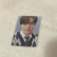 Seventeen dino小卡
