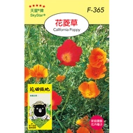 花田綠地種子-花菱草