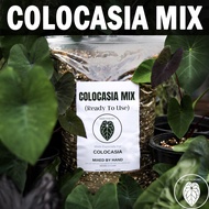 COLOCASIA MIX by NADI POKOKS (Ready To Use) Premium Soil Mixture for all Colocasia Live Plant ( Campuran Tanah )