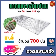 ถาดเพาะกล้านาโยน มี 434 หลุม มีให้เลือก 1-700 ชิ้น ถาดนาโยน เพาะกล้านาโยน ทำนาโยน ถาดปลูกกล้านาโยน