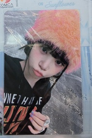 Lesserafim 金采源 Chaewon  Antifragile 特典