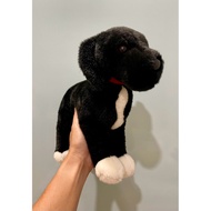 Genuine Donuts Twister the black lab pitbull mix teddy bear (Collectible)