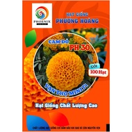 Super Dwarf Marigold Mini PH30 Red Orange Phoenix Seeds