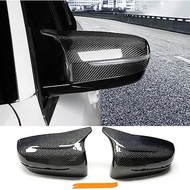 BMW G20 320i 330i 340i Carbon Side Mirror Cover B678